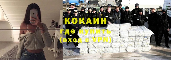 метадон Алексин